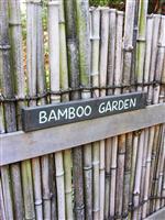 Bamboo Garden stock photo