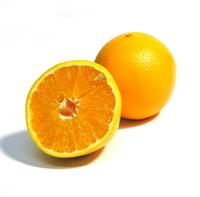 Orange stock photo