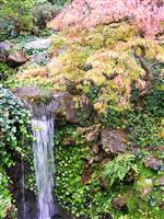 Waterfall in Japanese Garden stock photo