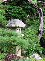 Japanese Garden stock photo