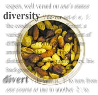 Diversity Theme stock photo