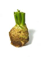 Celery Root stock photo