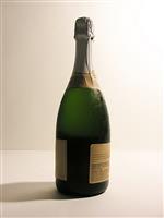 Champagne Bottle stock photo