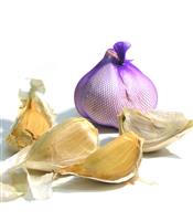 Garlic stock photo