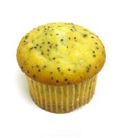 Poppyseed Muffin stock photo