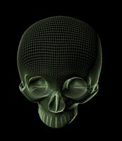 3d Skull stock photo