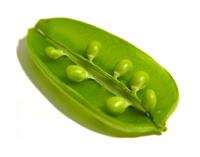 Peas in a Pod stock photo
