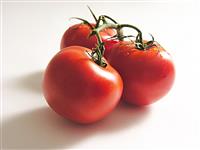 Tomatos stock photo