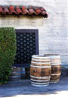 Winery stock photo