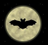 Bat Silhouette stock photo