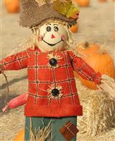 Haloween Scarecrow stock photo