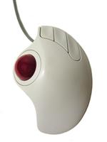 Mouse stock photo