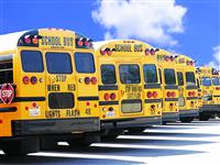 School Buses stock photo