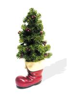 Christmas Tree Boot stock photo