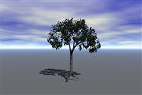 Lonely Tree stock photo