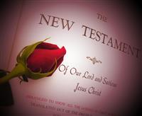 Rose With Bible stock photo
