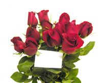 Valentines Roses stock photo