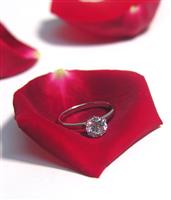 Diamond Ring on Rose Petal stock photo