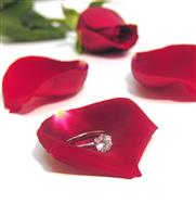 Engagement Ring stock photo