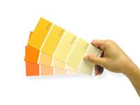 Paint Swatches stock photo