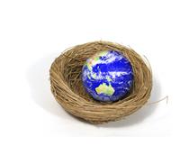 Earth in Nest stock photo