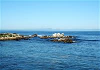 Coastal View stock photo