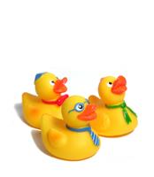Family of Toy Ducks stock photo