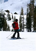 Skiier stock photo