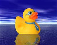 Business Man Duck stock photo