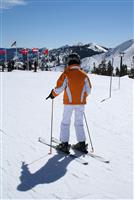 Skier stock photo