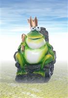 Frog King stock photo
