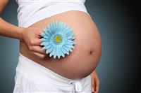 Pregnant Woman with Flower stock photo