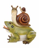 A frog and Snail Friendship stock photo