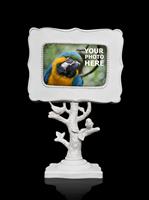 Picture Frame (Bird Photo in Frame is Mine) stock photo