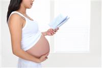 Pregnant Woman Reading stock photo