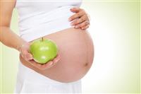 Pregnant Woman Holding Apple stock photo