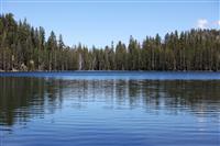 Trees and Lake stock photo