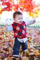 Cute Boy Playing in Leaves stock photo