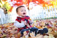 Cute Boy Playing in Leaves stock photo