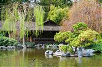 Japanese Garden stock photo