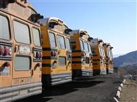 Dirty School Buses stock photo