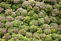 Broccoli Background stock photo