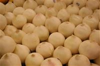 Onions stock photo