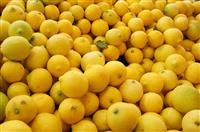 Lemons stock photo