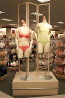 Womens Undergarments stock photo