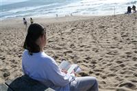 Man Reading on Beach stock photo