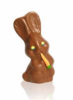 Chocolate Rabbit stock photo