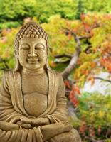 Buddha Garden stock photo
