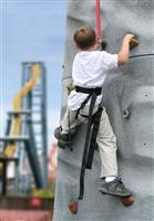 Boy Climbing stock photo