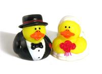 Ducks in Love stock photo